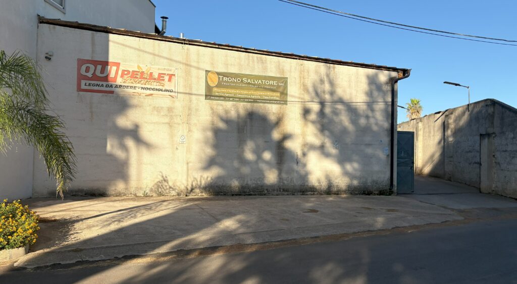 Exterior view of a wall with signage for 'Qui Pellet' and 'Trono Salvatore', featuring palm trees and a clear blue sky.